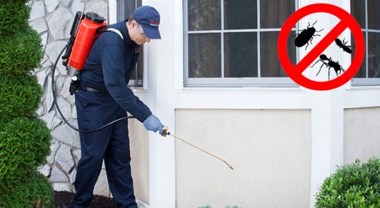 Sarayköy Fare İlaçlama böcek ilaçlama ve haşere kontrolü — ilaclama-tr.com